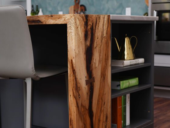 Redstart Residence - interior - kitchen details