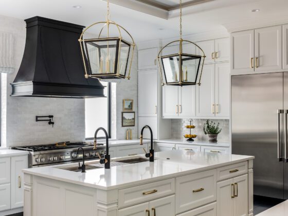 Thompson Lake Residence - interior - kitchen