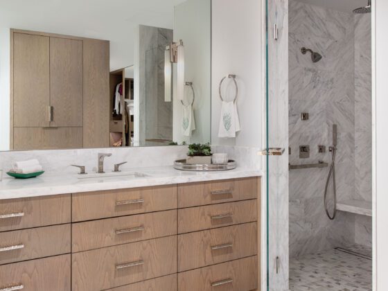 Zarrow Residence primary bathroom vanity and shower